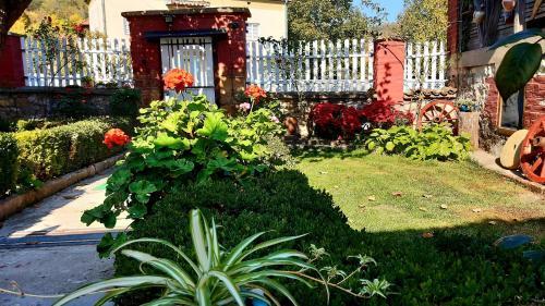Bed & Breakfast Vila Milenovic Rajacke Pivnice