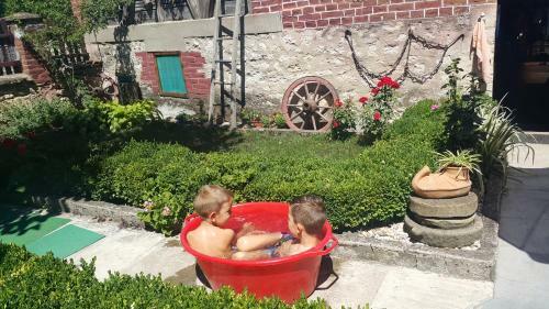 Bed & Breakfast Vila Milenovic Rajacke Pivnice