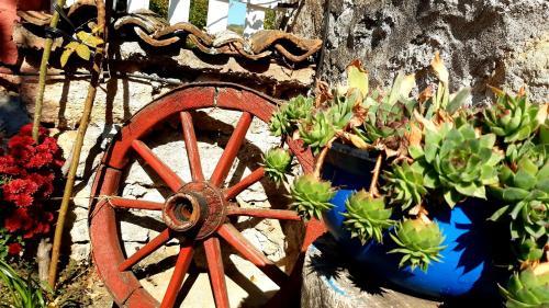 Bed & Breakfast Vila Milenovic Rajacke Pivnice