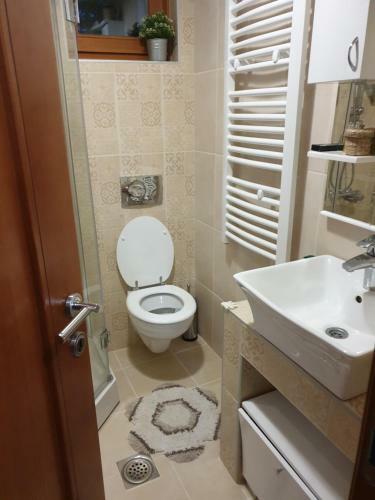 Apartment Aleksandar