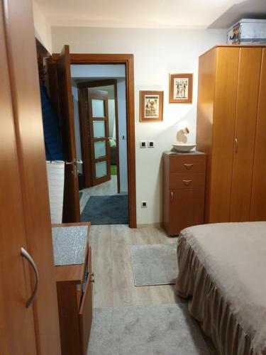 Apartment Aleksandar