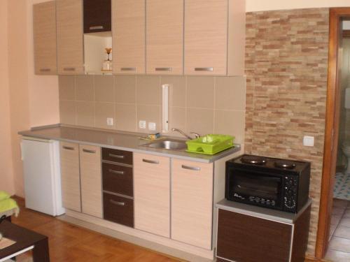 Apartments Vila Velickovic