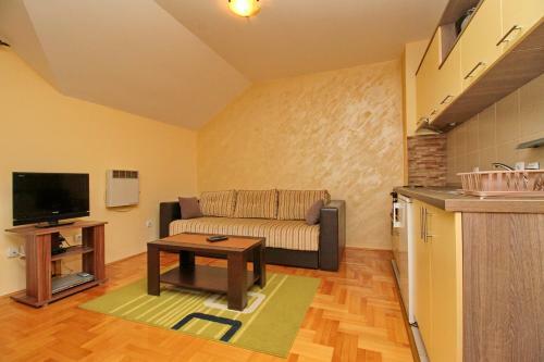 Apartments Vila Velickovic