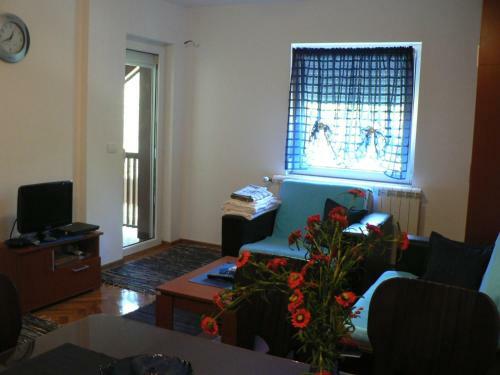 Apartman Sneznik