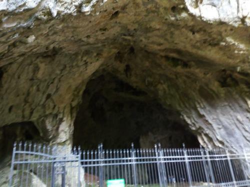 Apartamento Studio Zorica