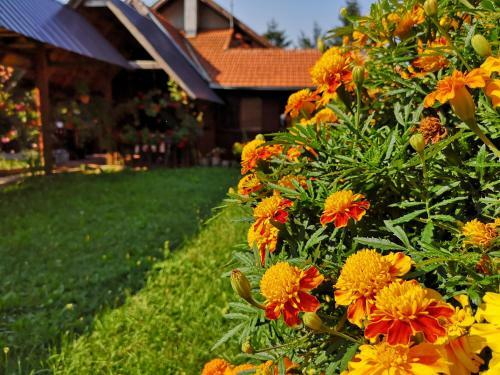 Hostal Guesthouse Ramovi?