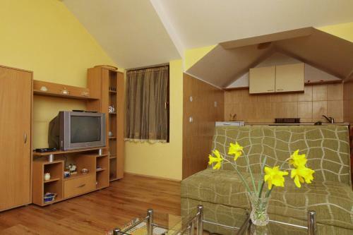 Apartments Popovic
