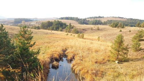 Zlatibor Apartmani Dm Tornik