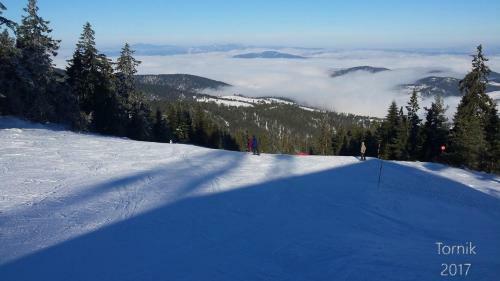 Zlatibor Apartmani Dm Tornik