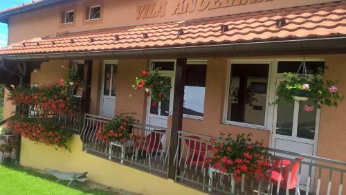 Hostal Vila Angelina
