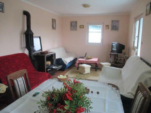 Hostal Guesthouse Borovi