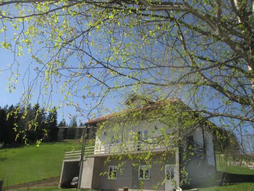 Hostal Guesthouse Borovi