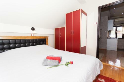 Apartment Centar
