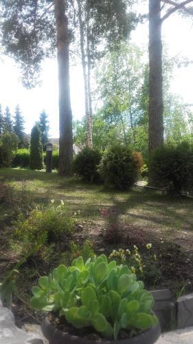 Apartmani Starovla