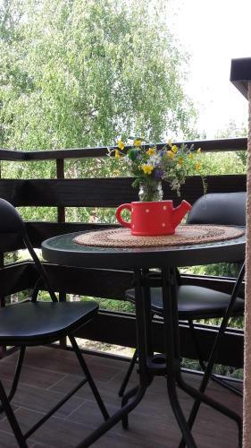 Apartmani Starovla