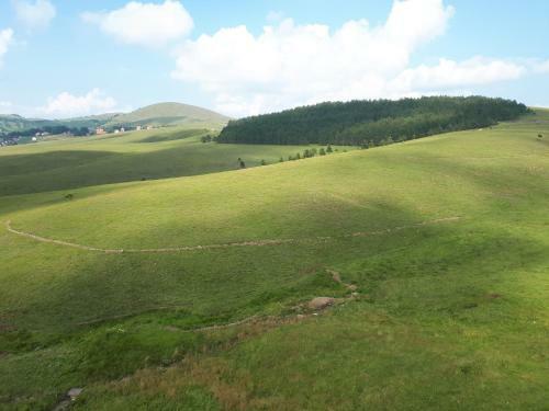 Apartamentos Zlatibor Hills Green