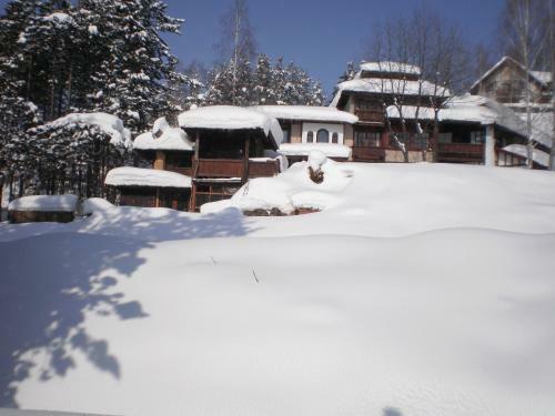 Apartments Carevo Polje