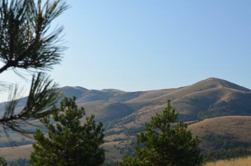 Apartamento Zlatibor Hills Kneginja