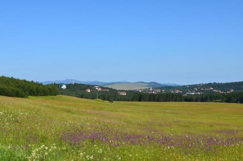 Apartamento Zlatibor Hills Kneginja