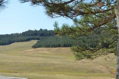 Apartamento Zlatibor Hills Kneginja