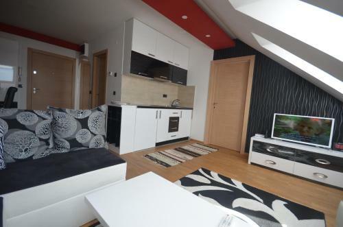 Apartment Ksenija