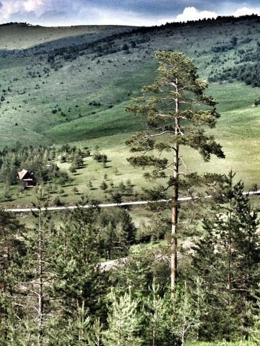 Previja Zlatibor Chalet