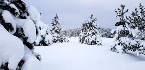Previja Zlatibor Chalet