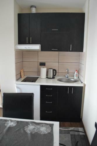 Apartment Penjisevic