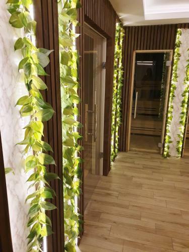 Apartman Nebo Premier Milmari