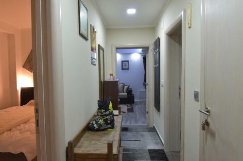 Apartamentos Vila Zagorka Kopaonik