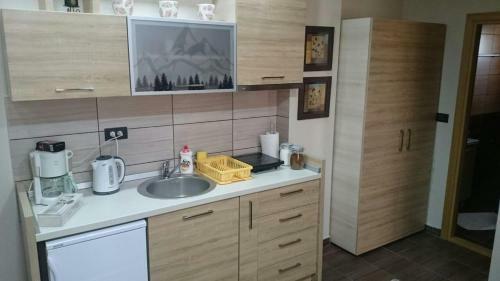 Apartment Maksim