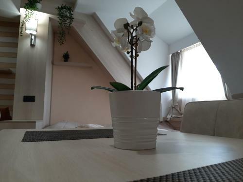 Select Lux Apartments Konaci