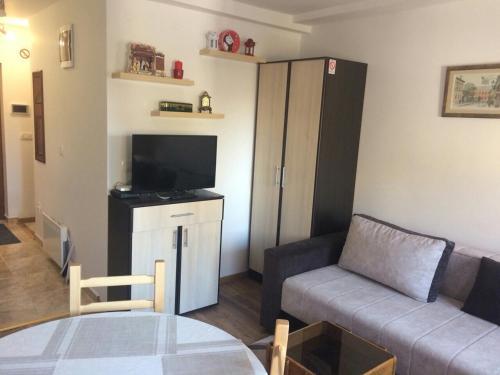 Apartment Lazic Vila Suri