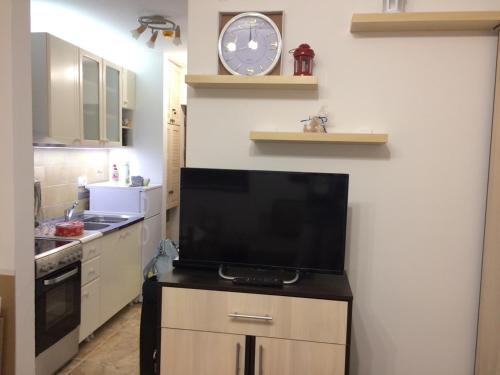 Apartment Lazic Vila Suri