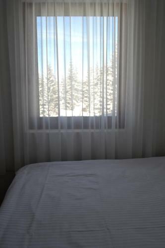 Apartman Marija, Vila Suri