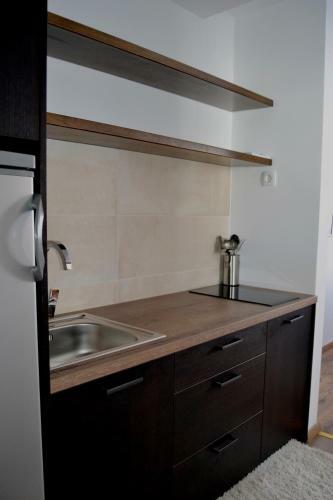 Apartman Marija, Vila Suri