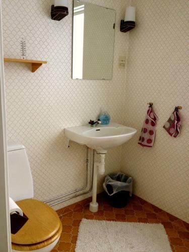 Lodge Stora Bj�rnstugan