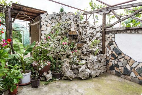 Hostal Kladenetsa Guest House
