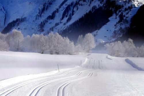 Hotel Grimsel