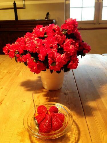Hostal B&B Les Mignardises