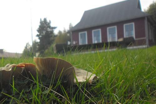 Albergue Stf Hovra Vandrarhem