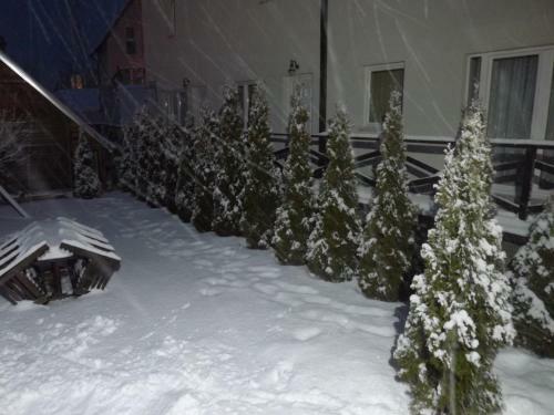 Apartment Todorovic