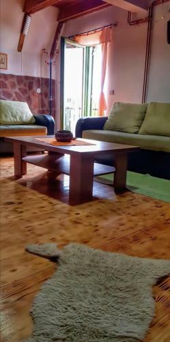 Apartment Todorovic