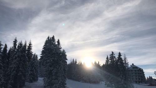 Lux Apartment Milmari Reko E4 Kopaonik