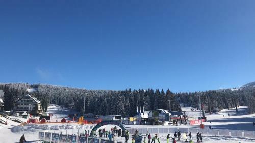 Lux Apartment Milmari Reko E4 Kopaonik