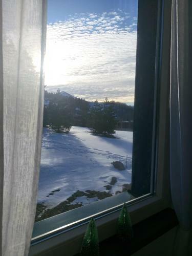 Apartment Dragana Kopaonik