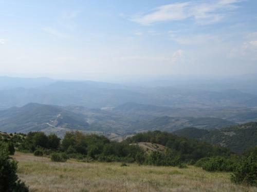 Apartman 5a43, Kraljevi ?ardaci
