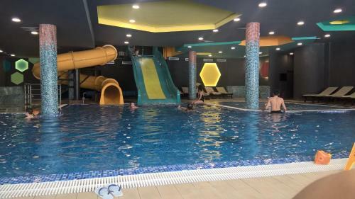 Apartman 5a43, Kraljevi ?ardaci