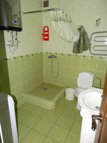 Apartment Na Pionerskiy Prospekt