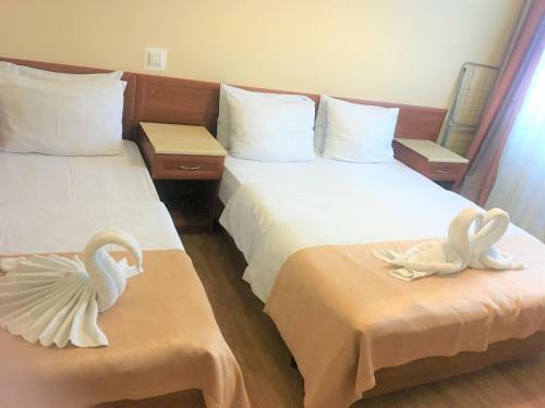 Hotel Edelveys